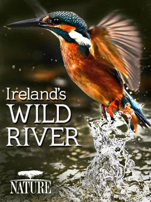 Постер: Ireland's Wild River