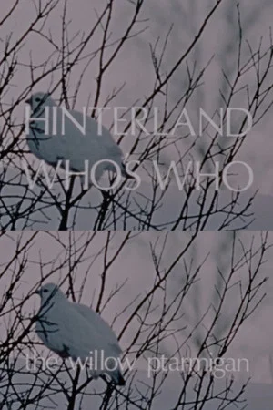 Постер: Hinterland Who's Who: The Willow Ptarmigan