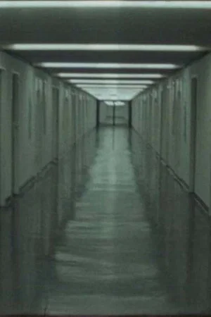 Постер: Corbusierhaus