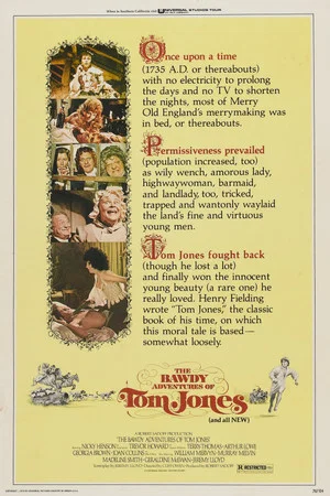 Постер: The Bawdy Adventures of Tom Jones