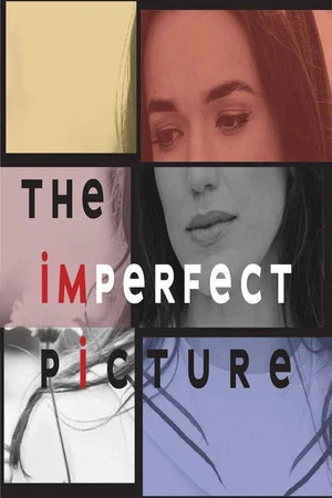 Постер: The Imperfect Picture