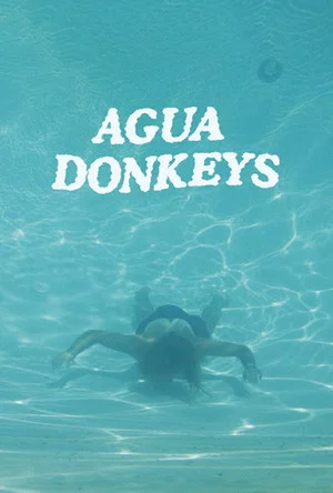 Постер: Agua Donkeys