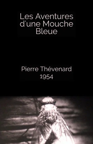 Постер: The Adventures of a Blue Fly