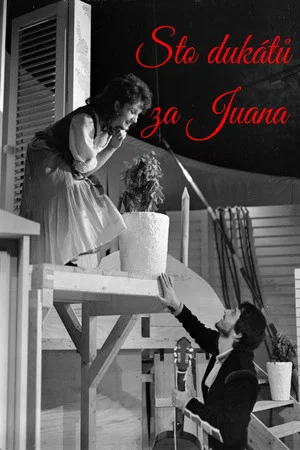 Постер: Sto dukátů za Juana