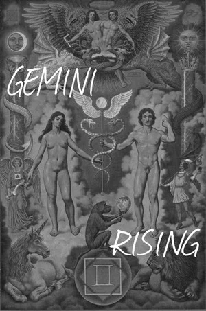 Постер: Gemini Rising