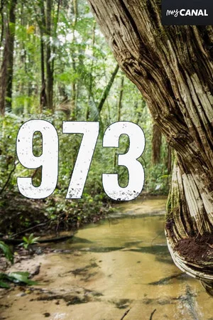 Постер: 973