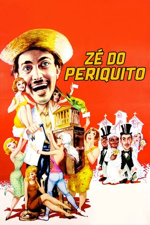 Постер: Zé do Periquito