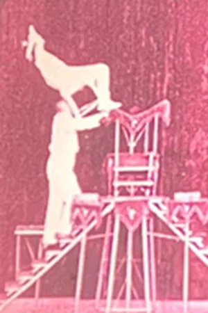 Постер: Vaudeville Deluxe