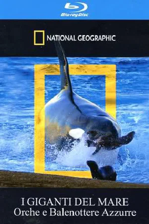 Постер: Orca Killing School