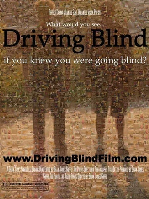 Постер: Driving Blind