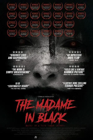Постер: The Madame in Black