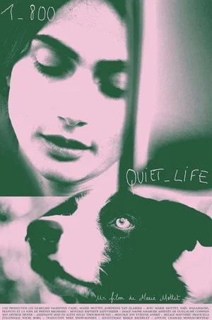 Постер: 1-800-Quiet-Life