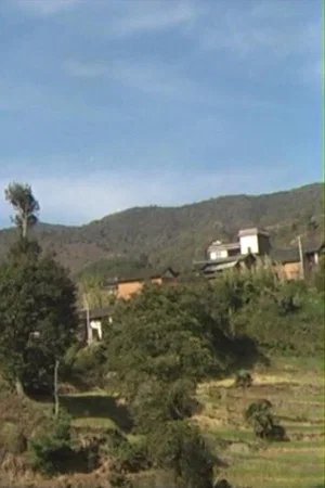 Постер: Huamulin 2012