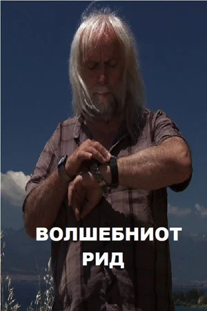 Постер: The Magic Hill
