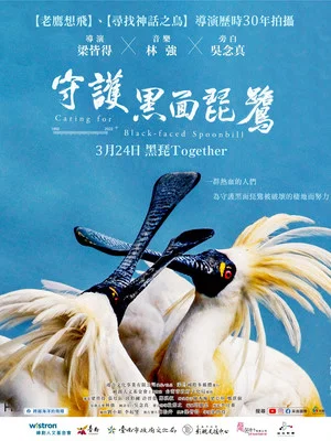Постер: Caring for Black-Faced Spoonbill