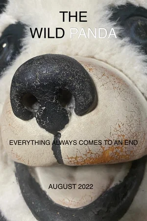 Постер: The Wild Panda