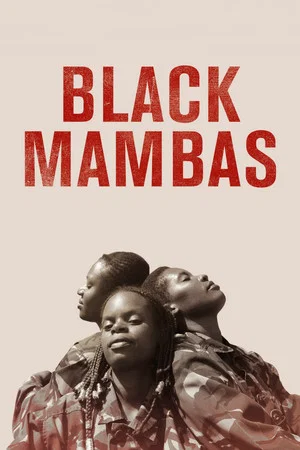 Постер: Black Mambas