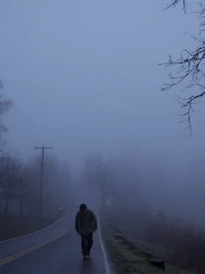 Постер: the last view