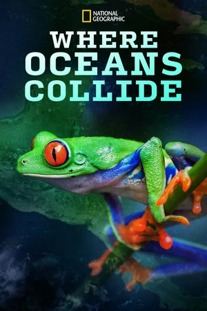 Постер: Where Oceans Collide