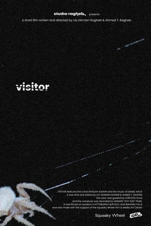 Постер: Visitor