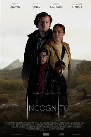 Постер: Incognito