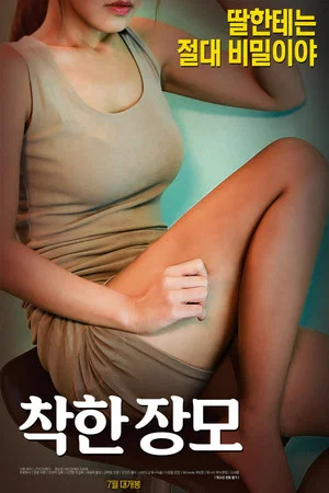 Постер: Nice Mother-in-law