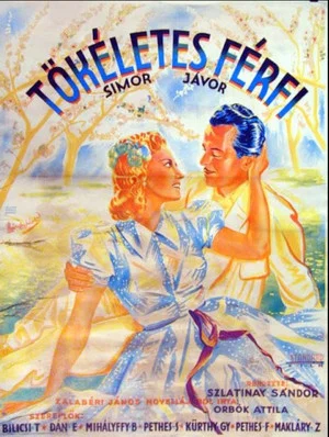 Постер: Tökéletes férfi