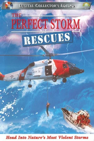 Постер: The Perfect Storm: Rescues