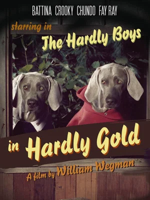 Постер: The Hardly Boys in Hardly Gold