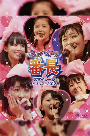 Постер: S/mileage 2012 Autumn ~Choi Kawa Banchou~