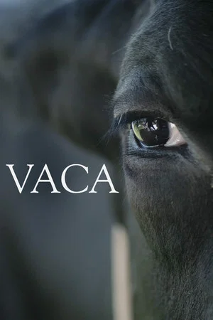 Постер: Vaca