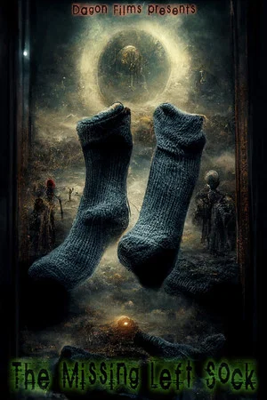 Постер: The Missing Left Sock