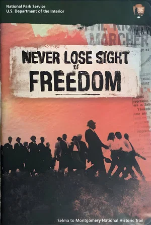 Постер: Never Lose Sight of Freedom