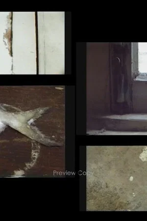 Постер: Empty World