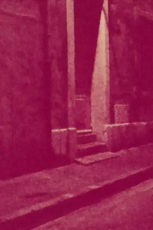 Постер: The Night