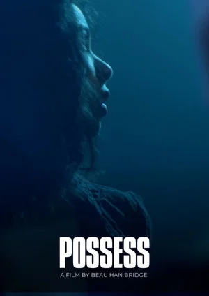 Постер: Possess