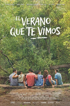 Постер: El verano que te vimos