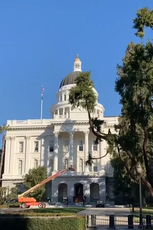 Постер: Calamity in the Capital of California