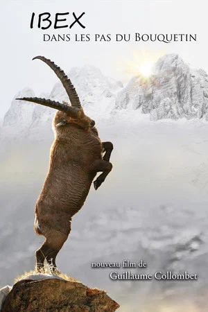 Постер: Ibex; In the Footsteps of the Ibex