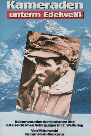 Постер: Comrades under Edelweiss