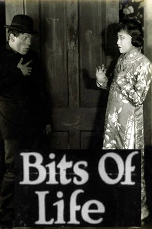 Постер: Bits of Life