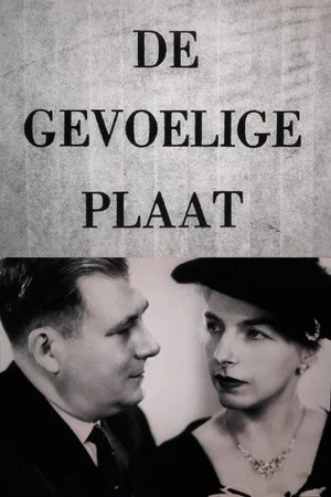 Постер: De gevoelige plaat