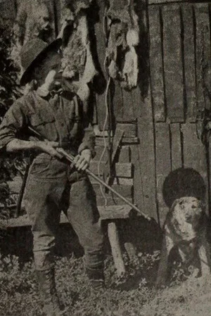 Постер: Outwitting the Timber Wolf