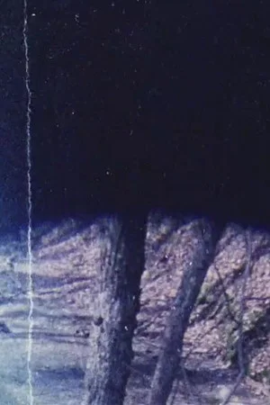 Постер: untitled (I)