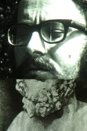 Постер: The Beard