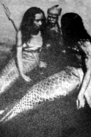 Постер: Ikan Doejoeng
