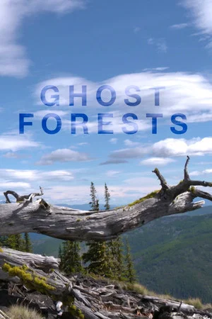 Постер: Ghost Forests