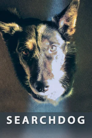Постер: Searchdog