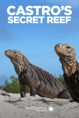 Постер: Castro's Secret Reef