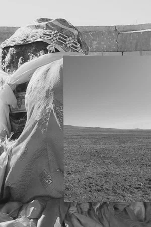 Постер: Petrogenesis, Petra Genetrix